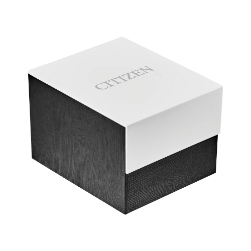 CITIZEN Promaster Dive Blue Dial | BN0191-55L