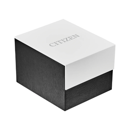 CITIZEN Promaster Dive Blue Dial | BN0191-55L