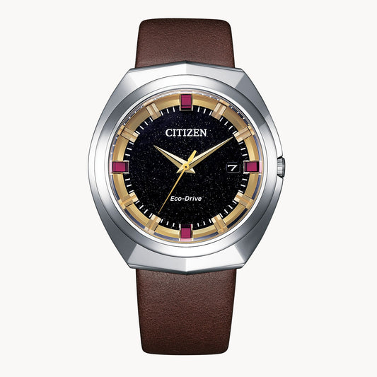 CITIZEN Eco-Drive 365 Limited Edition | BN1010-05E