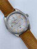 Omega Seamaster Railmaster
